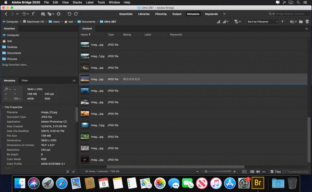 Instructions for Downloading and Installing Adobe Bridge 2021 for Free
